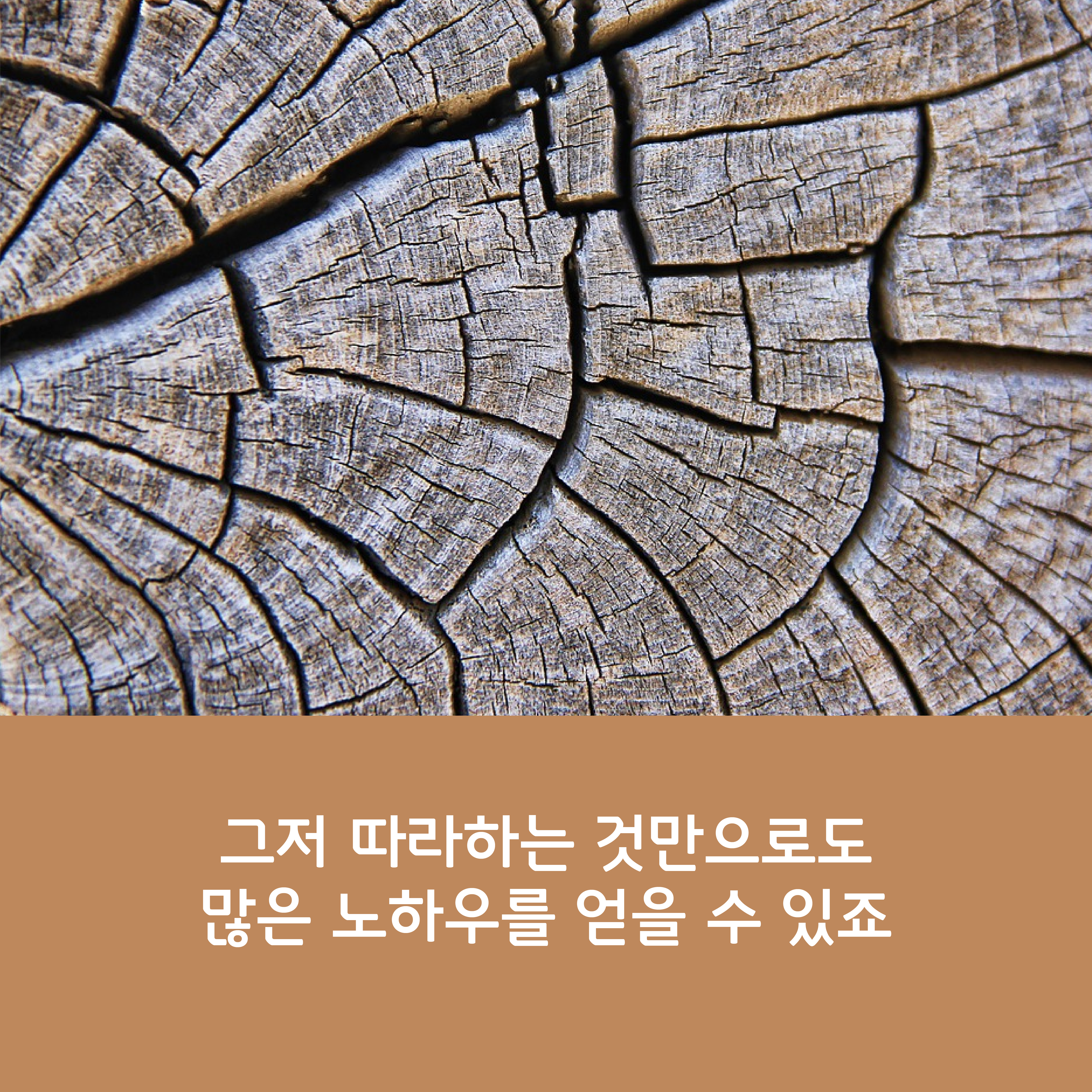 카드뉴스 - 어떻게 실력을 향상시키나요--06.png